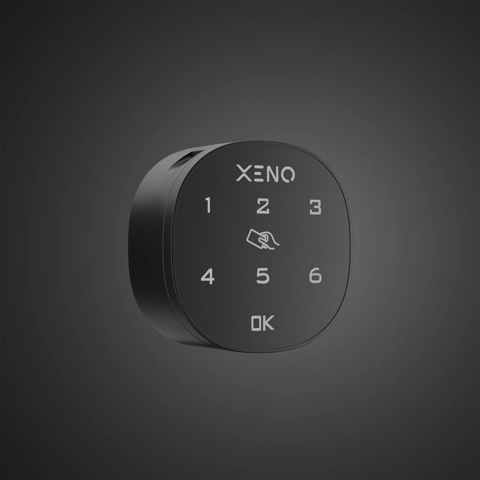 Xeno Digital Letter Box Lock Smart Mailbox Protection